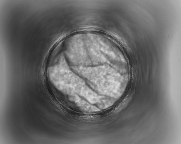 X0000096441405200802141442