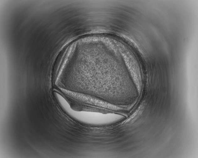 X0000096441409200802141442