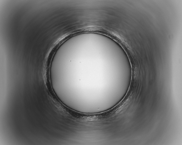 X0000096441410200802141442