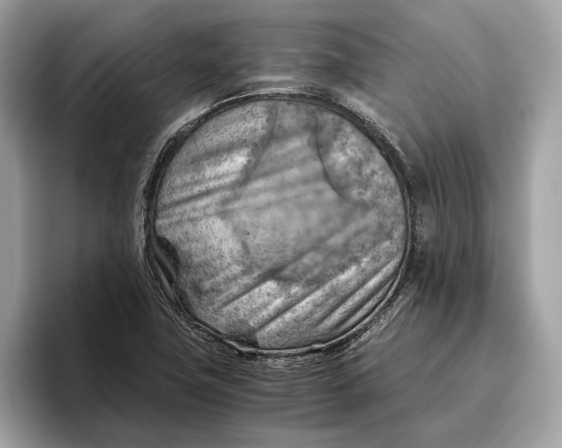 X0000096441411200802141442