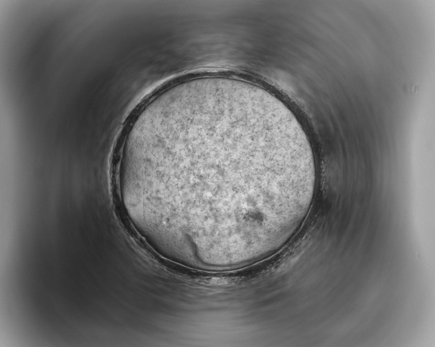 X0000096441412200802141443