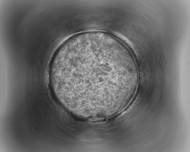 X0000096441415200802141443