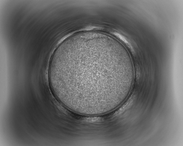 X0000096441417200802141443