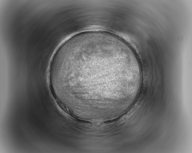 X0000096441421200802141443