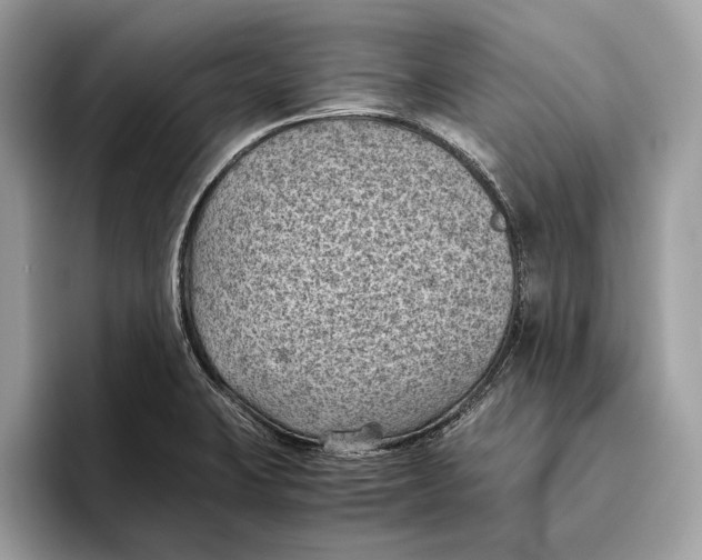 X0000096441423200802141443