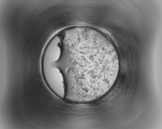 X0000096441424200802141443