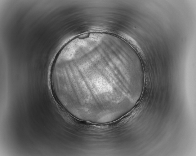 X0000096441427200802141443