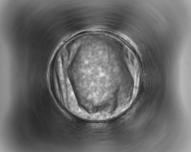 X0000096441429200802141443