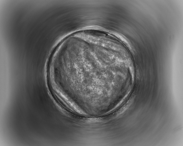 X0000096441430200802141443