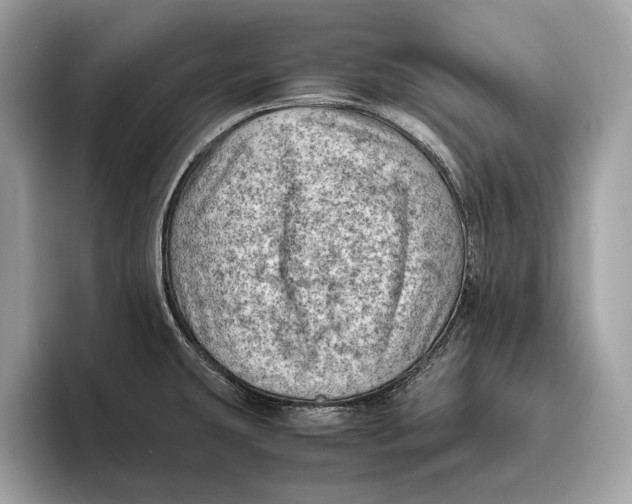 X0000096441431200802141443