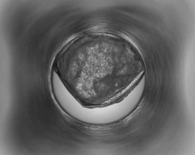 X0000096441434200802141443