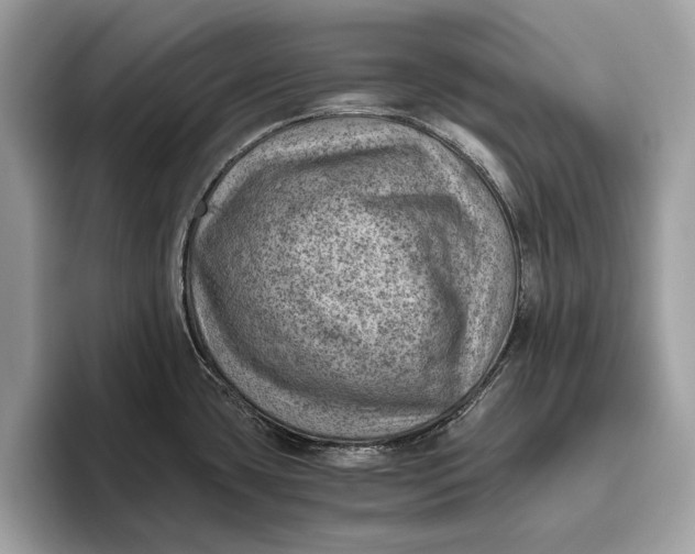 X0000096441435200802141443