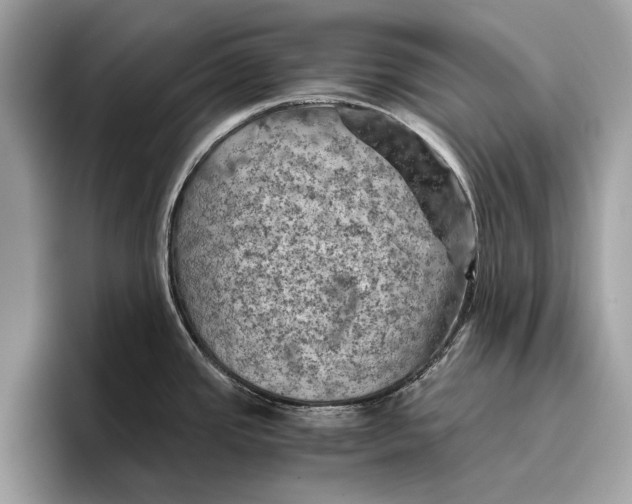 X0000096441437200802141443