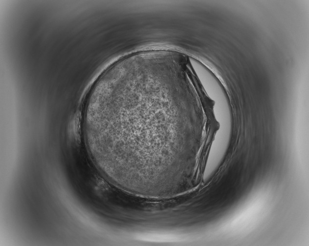 X0000096441438200802141443