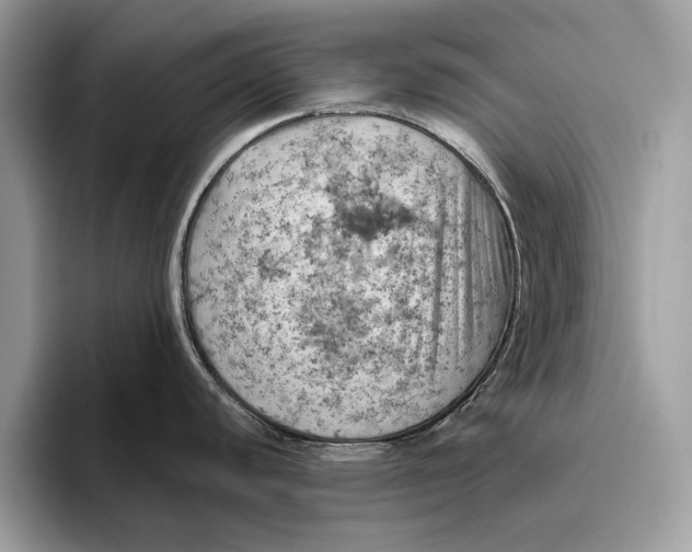 X0000096441440200802141443