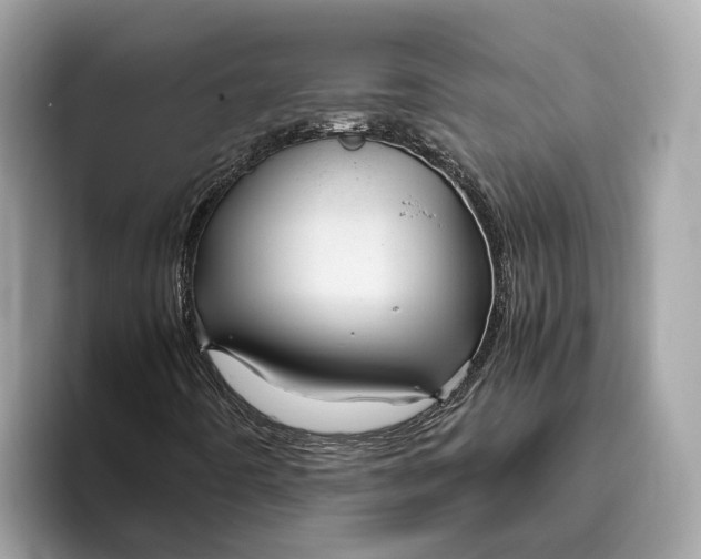 X0000096441442200802141442