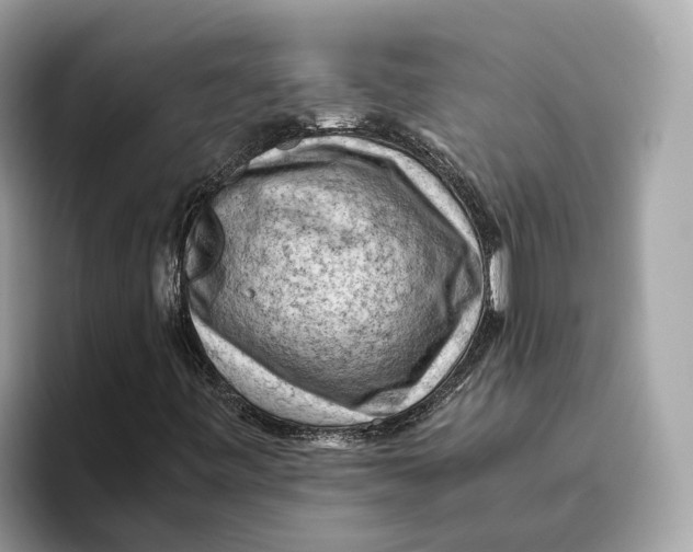 X0000096441443200802141442