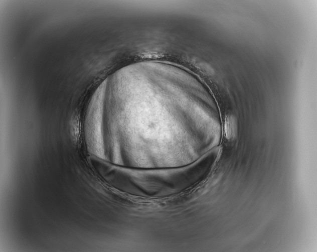 X0000096441444200802141442