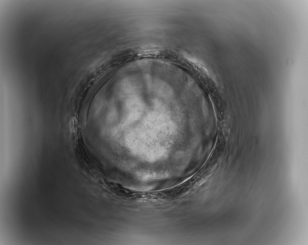 X0000096441445200802141442