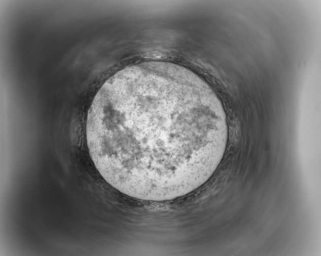 X0000096441446200802141442