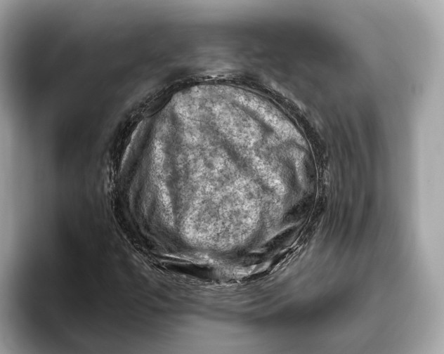 X0000096441447200802141442