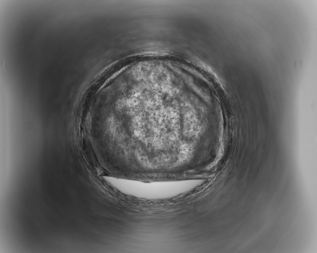 X0000096441448200802141442