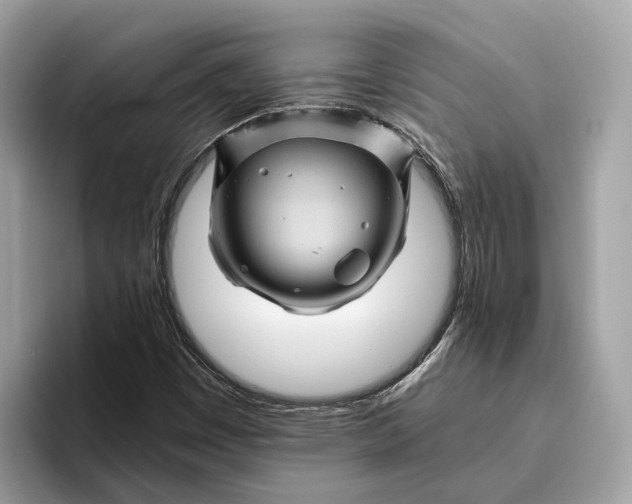 X0000096441449200802141442