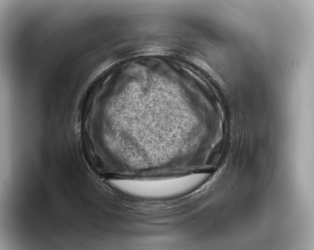 X0000096441450200802141442