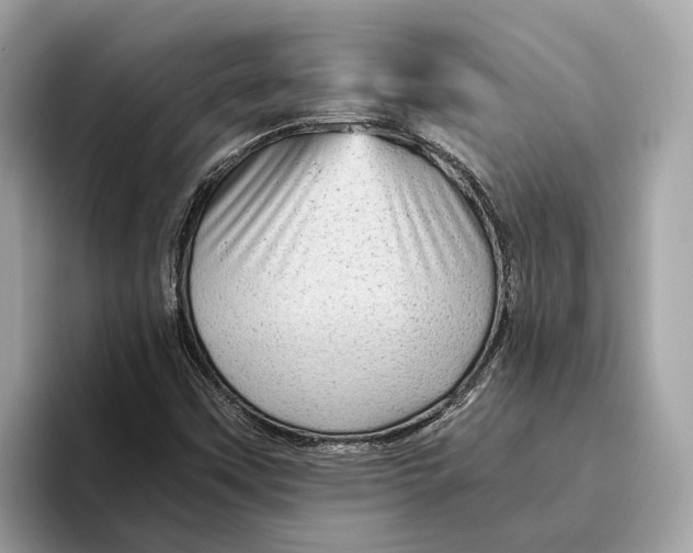 X0000096441451200802141442