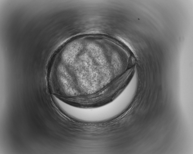 X0000096441452200802141442