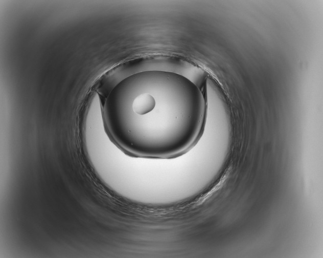 X0000096441453200802141442