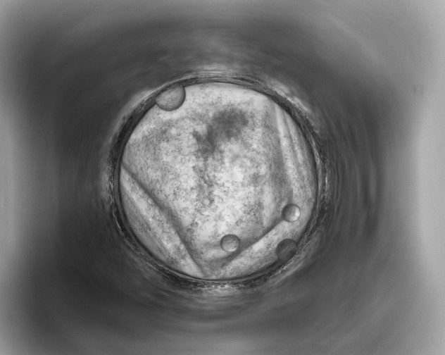 X0000096441454200802141442