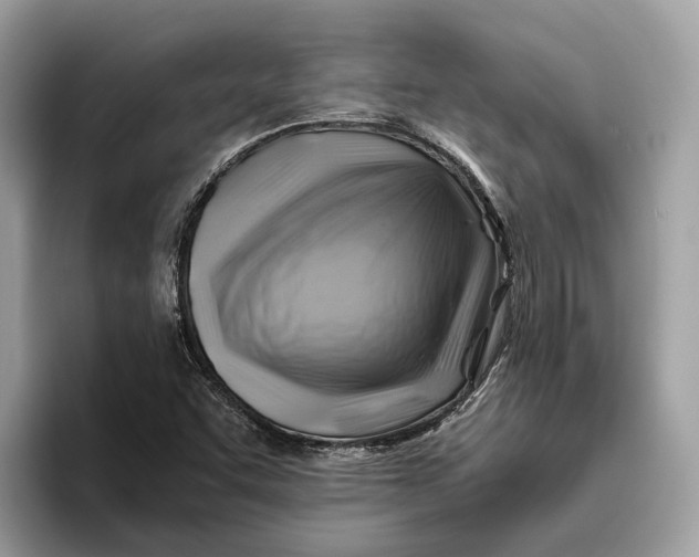 X0000096441455200802141442