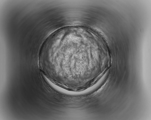 X0000096441457200802141442