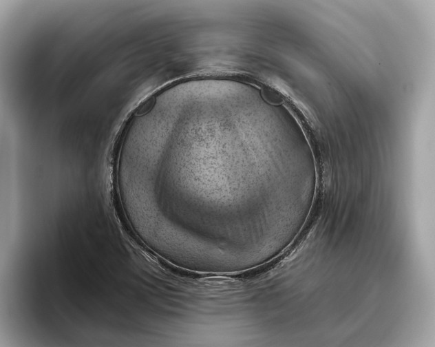 X0000096441459200802141442