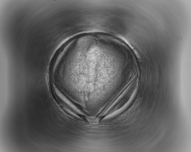 X0000096441460200802141442