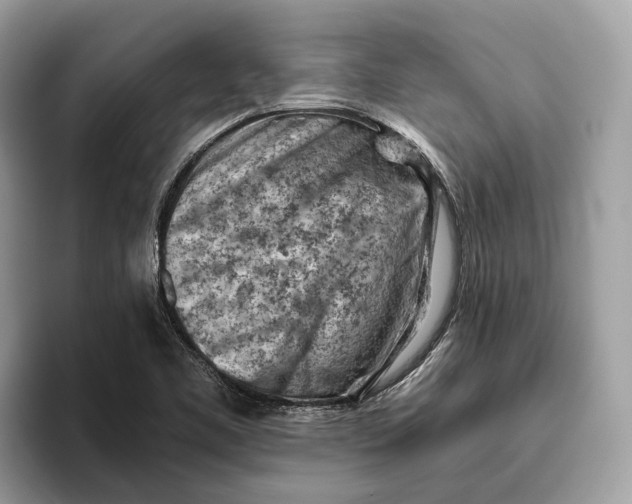 X0000096441461200802141442