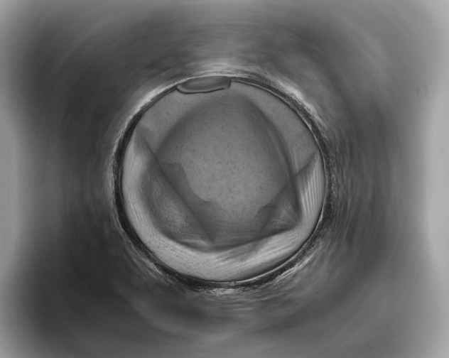 X0000096441463200802141442