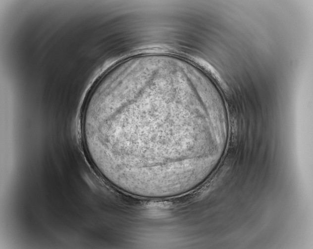 X0000096441466200802141442