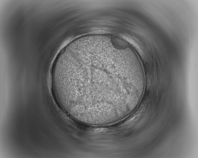 X0000096441467200802141442