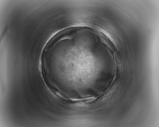 X0000096441468200802141442