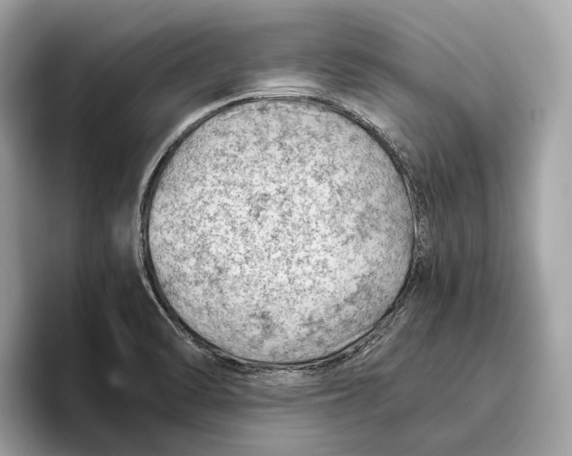 X0000096441470200802141442