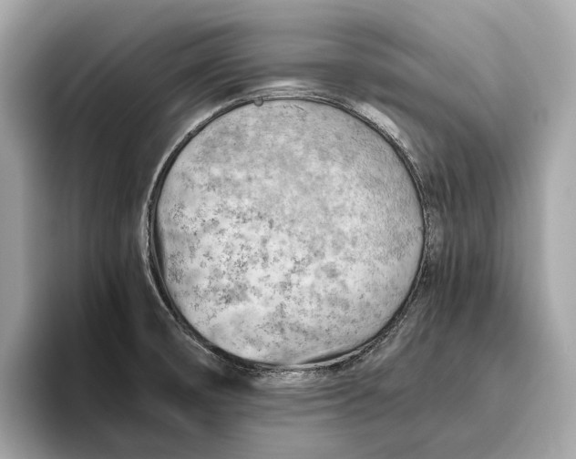 X0000096441474200802141442