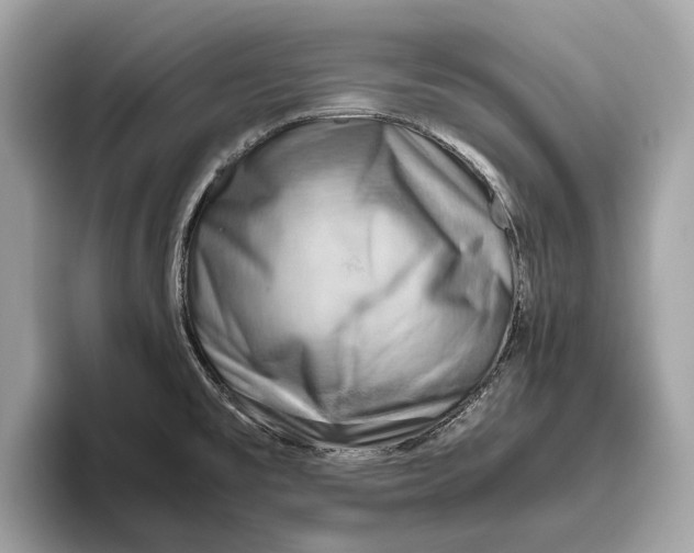 X0000096441477200802141442