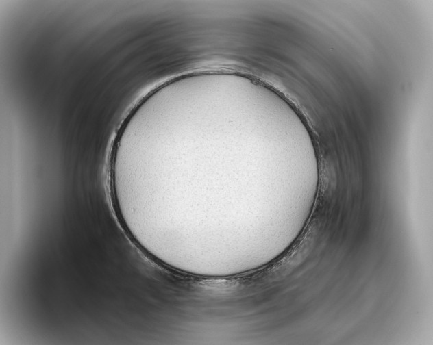 X0000096441478200802141442