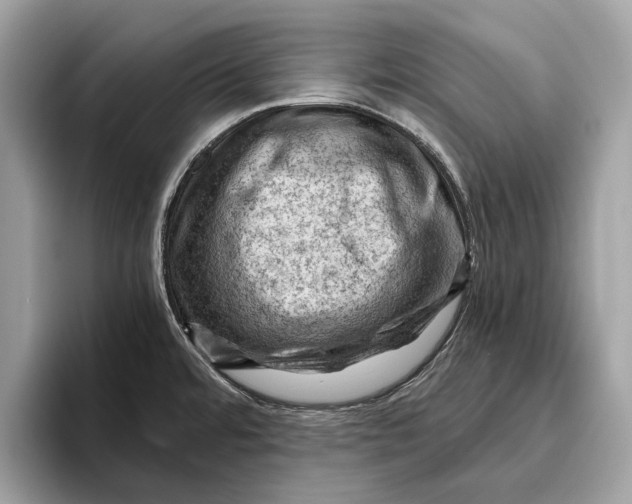 X0000096441480200802141442