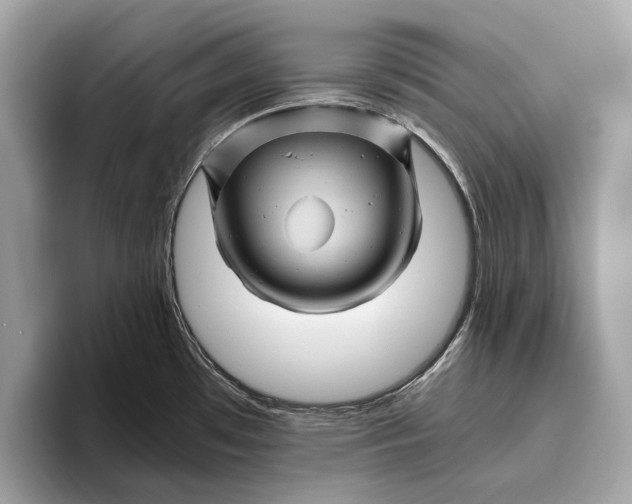 X0000096441481200802141442