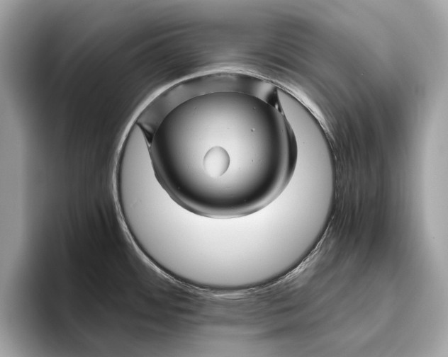 X0000096441484200802141442