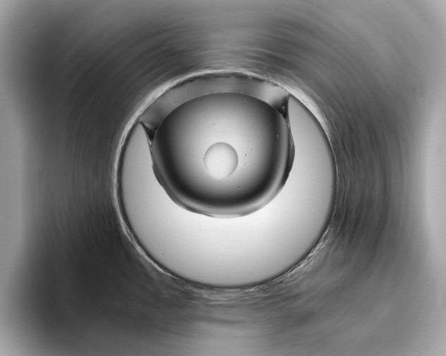 X0000096441485200802141442