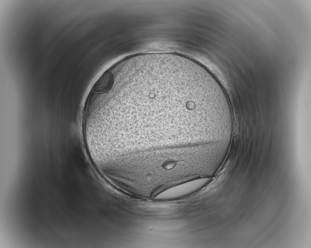 X0000096441486200802141442